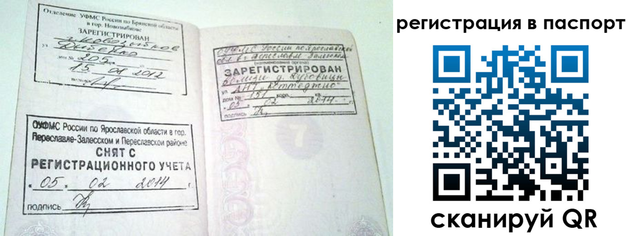 прописка в квартире в Суворове